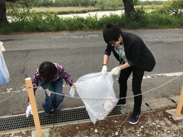 記事内画像